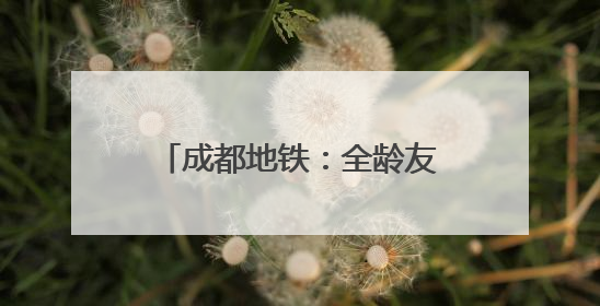 成都地铁：全龄友好“童”行 用爱编织温暖出行网