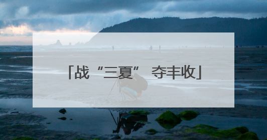 战“三夏” 夺丰收