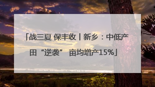 战三夏 保丰收丨新乡：中低产田“逆袭” 亩均增产15%