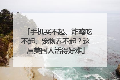 手机买不起、炸鸡吃不起、宠物养不起？这届美国人活得好难
