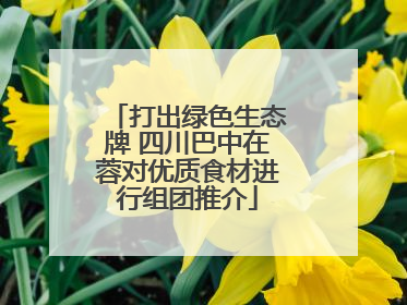 打出绿色生态牌 四川巴中在蓉对优质食材进行组团推介