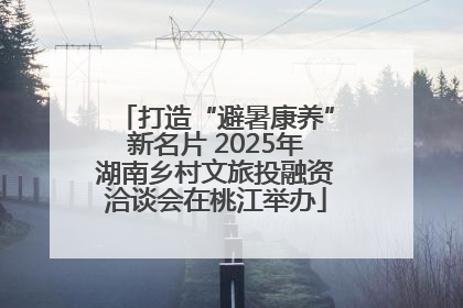 打造“避暑康养”新名片 2025年湖南乡村文旅投融资洽谈会在桃江举办