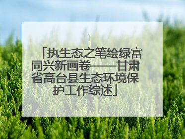 执生态之笔绘绿富同兴新画卷——甘肃省高台县生态环境保护工作综述