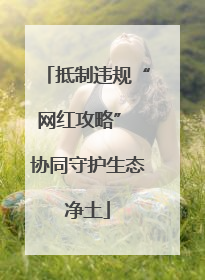 抵制违规“网红攻略” 协同守护生态净土