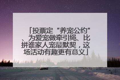 投票定“养宠公约”、为爱宠做牵引绳、比拼谁家人宠最默契，这场活动有趣更有意义
