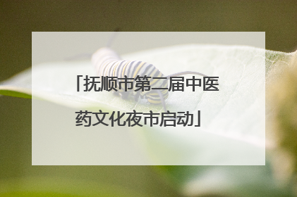 抚顺市第二届中医药文化夜市启动