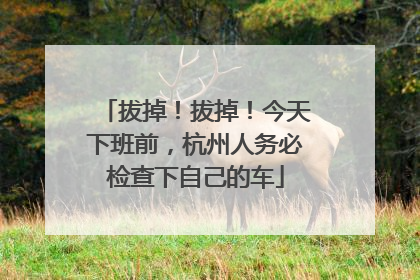 拔掉！拔掉！今天下班前，杭州人务必检查下自己的车