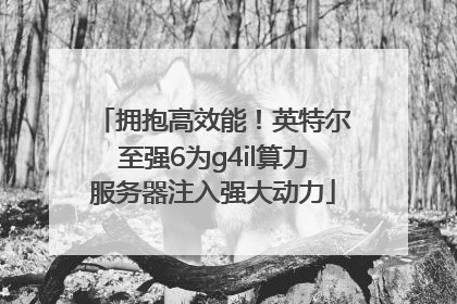 拥抱高效能！英特尔至强6为g4il算力服务器注入强大动力