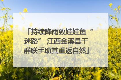 持续降雨致娃娃鱼“迷路” 江西金溪县干群联手助其重返自然