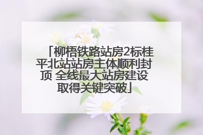 柳梧铁路站房2标桂平北站站房主体顺利封顶 全线最大站房建设取得关键突破