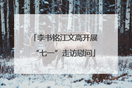 李书铭江文高开展“七一”走访慰问