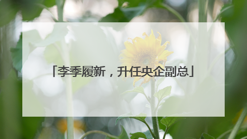 李季履新，升任央企副总