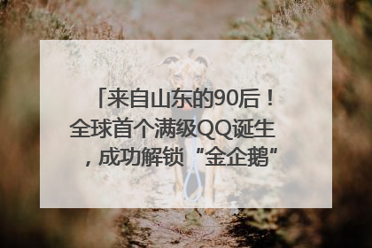 来自山东的90后！全球首个满级QQ诞生，成功解锁“金企鹅”，是继承父亲账号