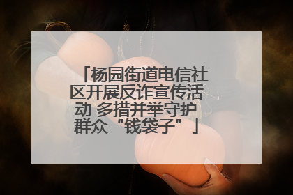 杨园街道电信社区开展反诈宣传活动 多措并举守护群众“钱袋子”