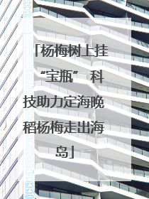 杨梅树上挂“宝瓶” 科技助力定海晚稻杨梅走出海岛