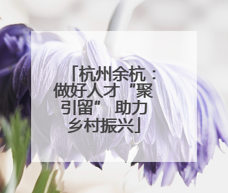 杭州余杭：做好人才“聚引留” 助力乡村振兴