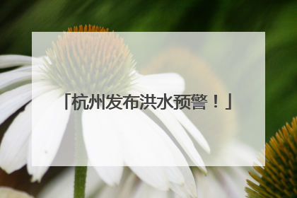 杭州发布洪水预警！