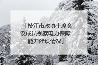 枝江市政协主席会议成员视察电力保障能力建设情况