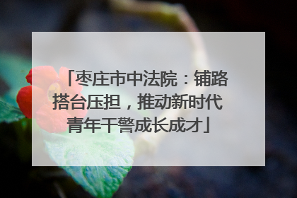 枣庄市中法院：铺路搭台压担，推动新时代青年干警成长成才
