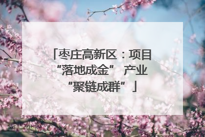 枣庄高新区：项目“落地成金” 产业“聚链成群”