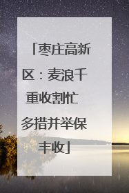 枣庄高新区：麦浪千重收割忙 多措并举保丰收