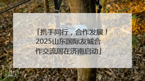 携手同行，合作发展！2025山东国际友城合作交流周在济南启动