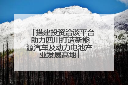 搭建投资洽谈平台 助力四川打造新能源汽车及动力电池产业发展高地