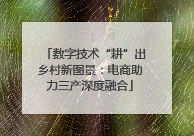 数字技术“耕”出乡村新图景：电商助力三产深度融合