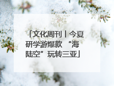 文化周刊丨今夏研学游爆款 “海陆空”玩转三亚