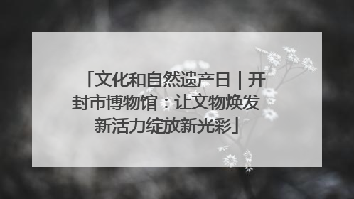 文化和自然遗产日｜开封市博物馆：让文物焕发新活力绽放新光彩