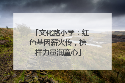 文化路小学：红色基因薪火传，榜样力量润童心