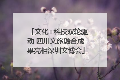 文化+科技双轮驱动 四川文旅融合成果亮相深圳文博会