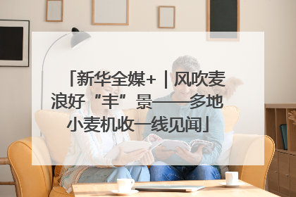 新华全媒+｜风吹麦浪好“丰”景——多地小麦机收一线见闻