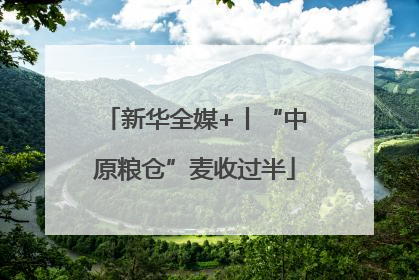 新华全媒+丨“中原粮仓”麦收过半