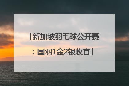 新加坡羽毛球公开赛：国羽1金2银收官