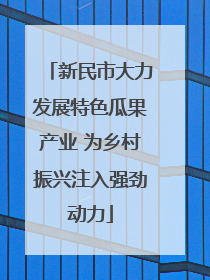 新民市大力发展特色瓜果产业 为乡村振兴注入强劲动力