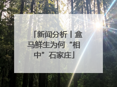 新闻分析丨盒马鲜生为何“相中”石家庄