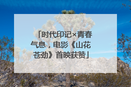 时代印记×青春气息，电影《山花苍劲》首映获赞