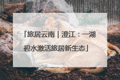 旅居云南｜澄江：一湖碧水激活旅居新生态