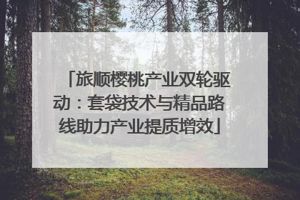 旅顺樱桃产业双轮驱动：套袋技术与精品路线助力产业提质增效