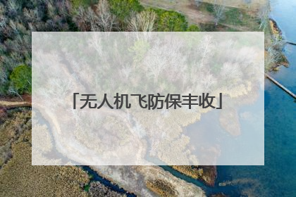 无人机飞防保丰收