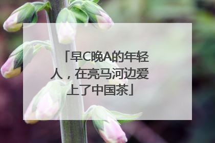 早C晚A的年轻人，在亮马河边爱上了中国茶
