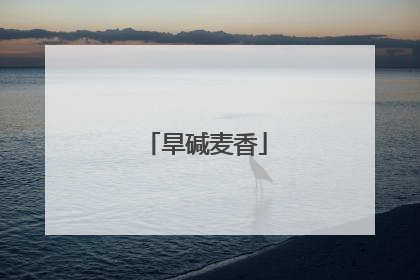 旱碱麦香