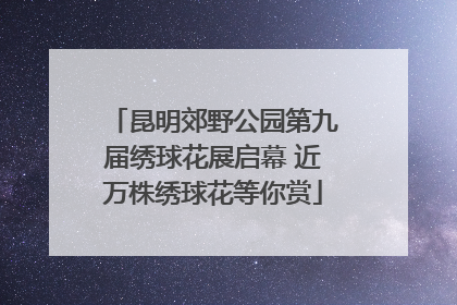 昆明郊野公园第九届绣球花展启幕 近万株绣球花等你赏