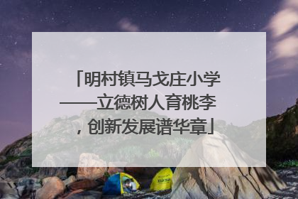 明村镇马戈庄小学——立德树人育桃李，创新发展谱华章