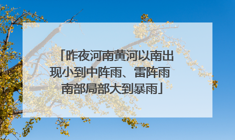 昨夜河南黄河以南出现小到中阵雨、雷阵雨 南部局部大到暴雨