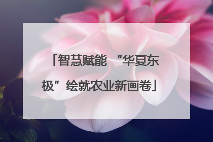 智慧赋能 “华夏东极”绘就农业新画卷