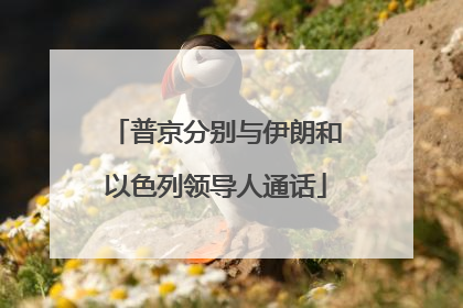 普京分别与伊朗和以色列领导人通话