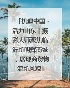 机遇中国・活力山东丨摄影大师聚焦临沂新明辉商城，展现商贸物流新风貌