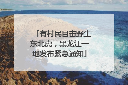 有村民目击野生东北虎，黑龙江一地发布紧急通知